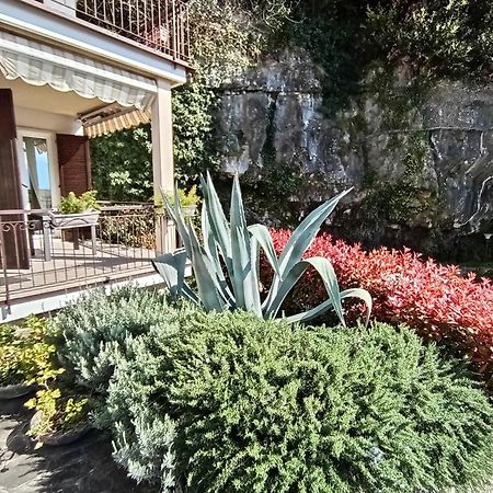 Citrus Apartment Brenzone Dış mekan fotoğraf